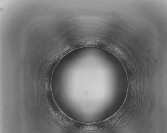 X0000061110546200512091820