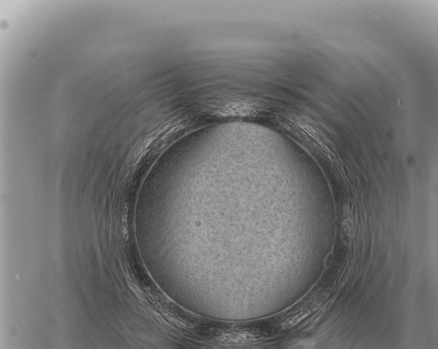 X0000061110547200512091820