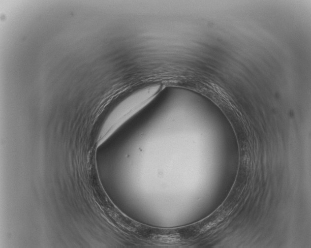 X0000061110548200512091820