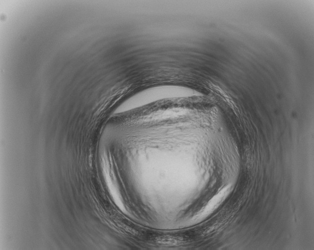 X0000061110549200512091820