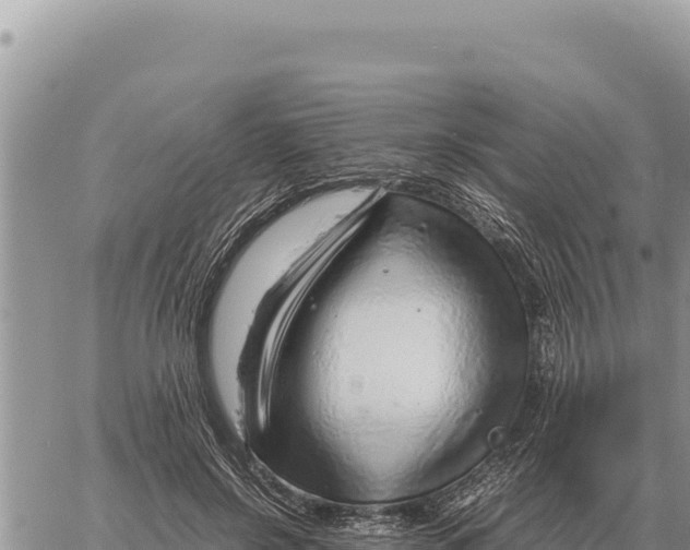 X0000061110550200512091820