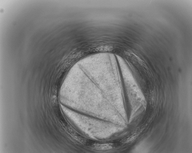 X0000061110553200512091820