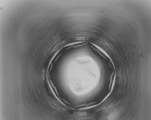 X0000061110554200512091820