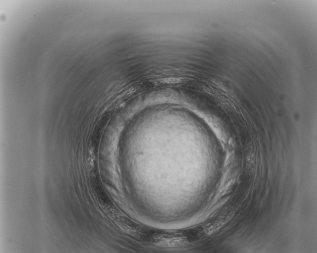 X0000061110555200512091820