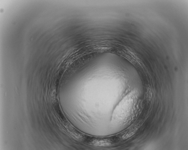 X0000061110557200512091820