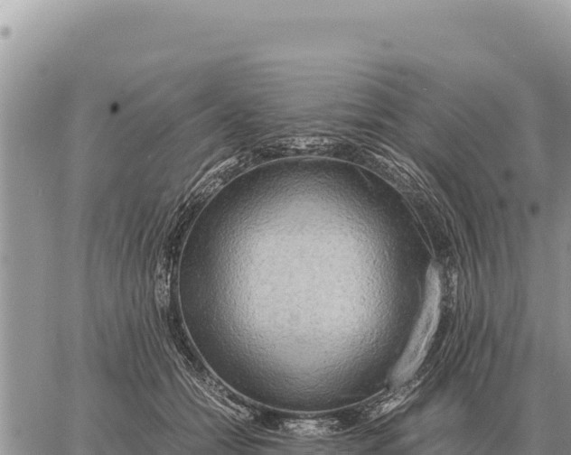 X0000061110558200512091820