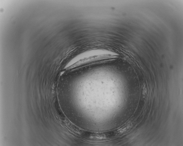 X0000061110559200512091820