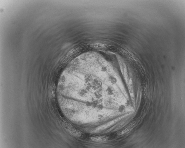 X0000061110561200512091820