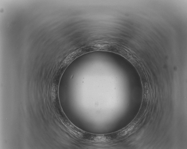 X0000061110562200512091820