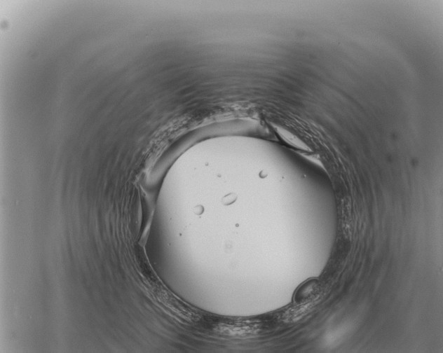 X0000061110563200512091820