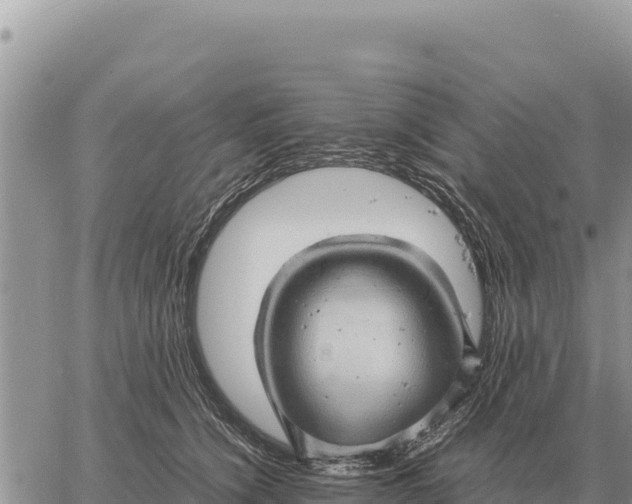 X0000061110564200512091820