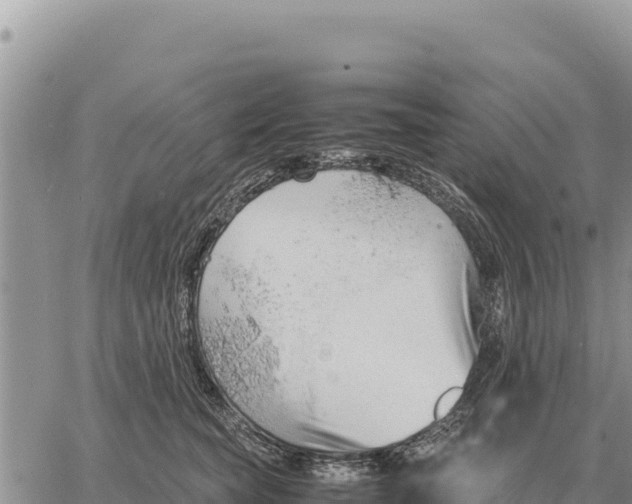 X0000061110565200512091820