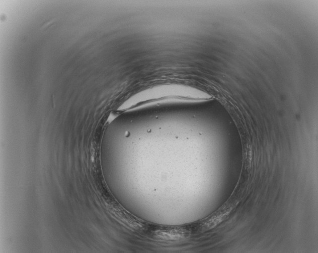 X0000061110567200512091820