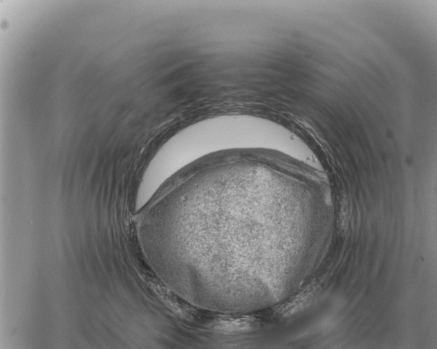 X0000061110569200512091820