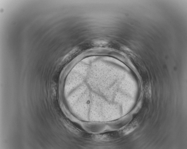 X0000061110570200512091820