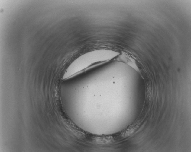 X0000061110571200512091820