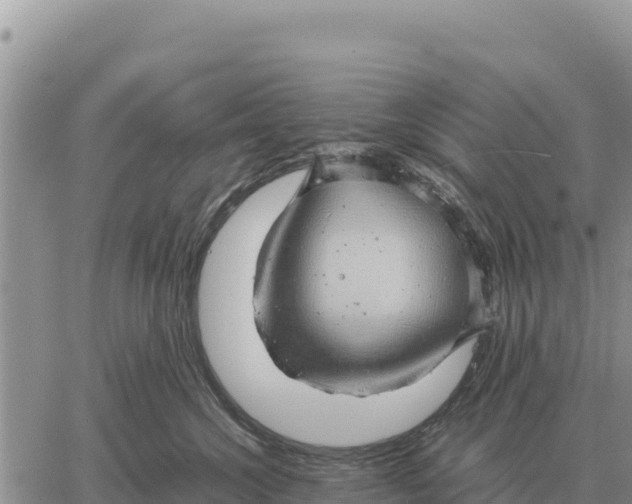 X0000061110572200512091820