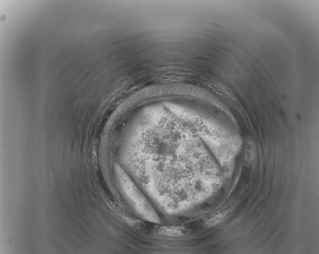 X0000061110573200512091820