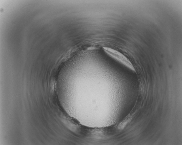 X0000061110574200512091820