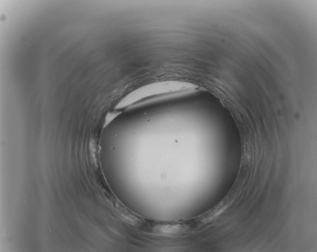 X0000061110575200512091820