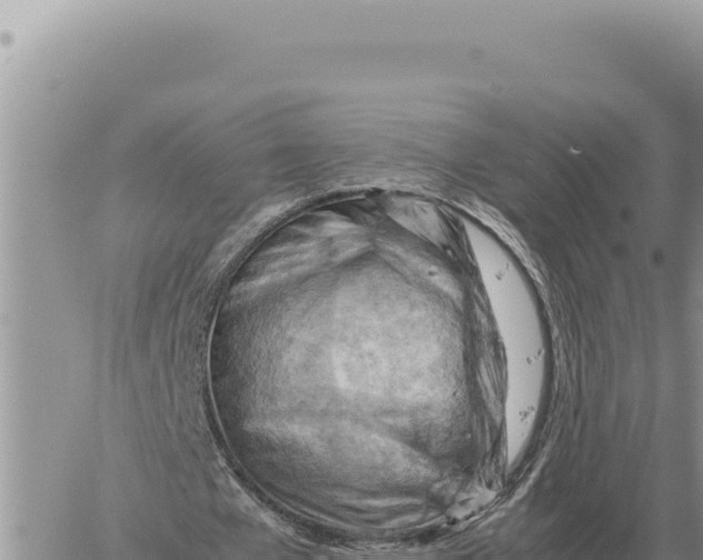 X0000061110577200512091819