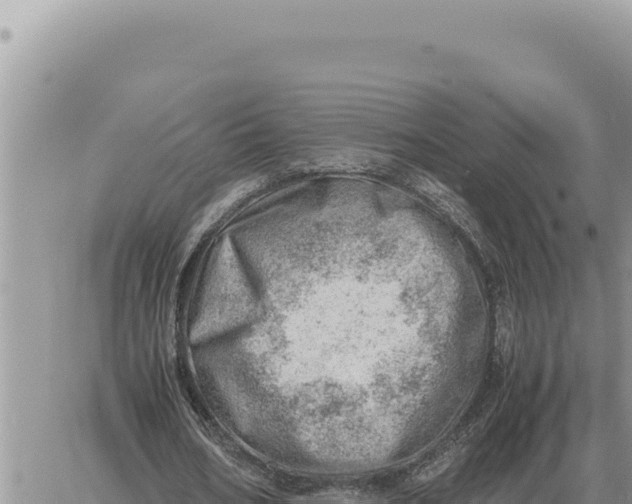 X0000061110578200512091819