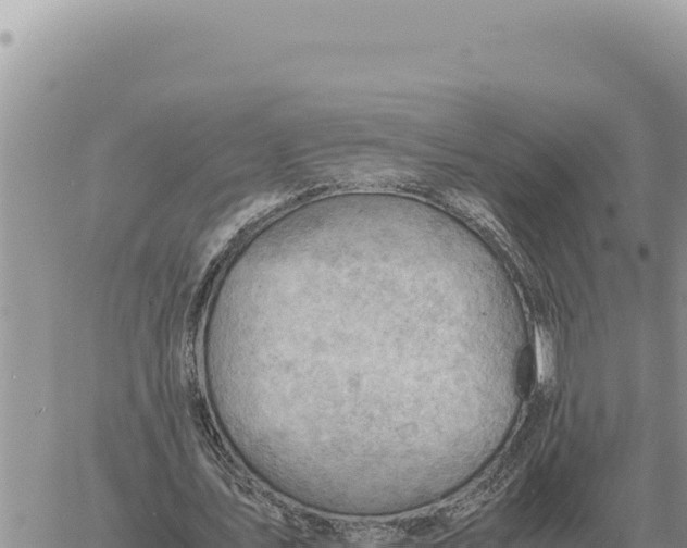 X0000061110579200512091819