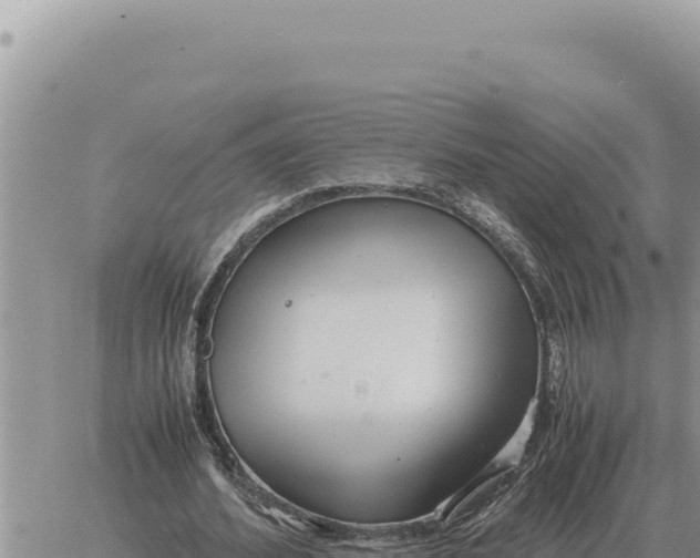 X0000061110580200512091819