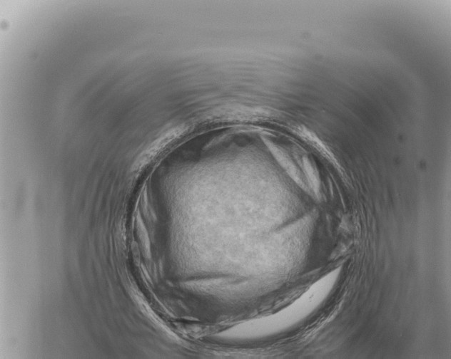 X0000061110581200512091819