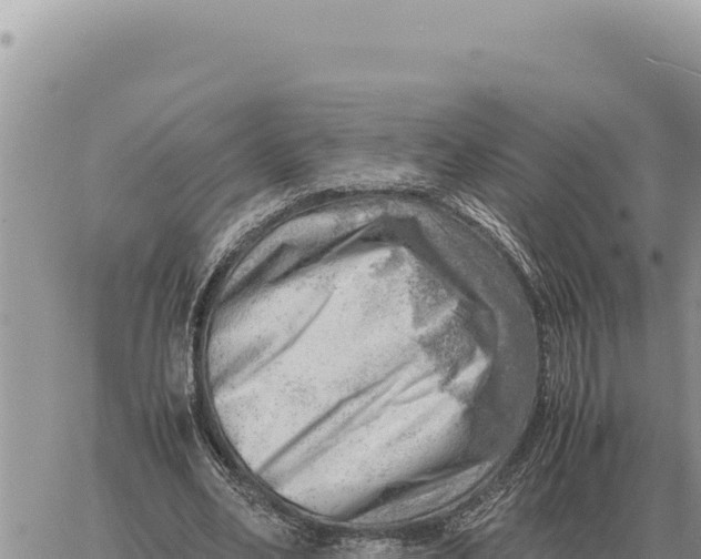 X0000061110582200512091819