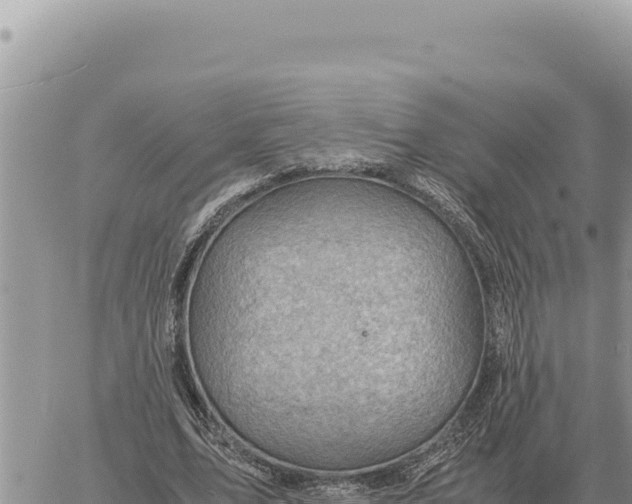 X0000061110583200512091819