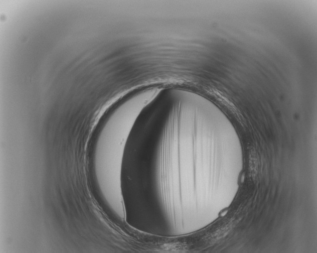 X0000061110584200512091819