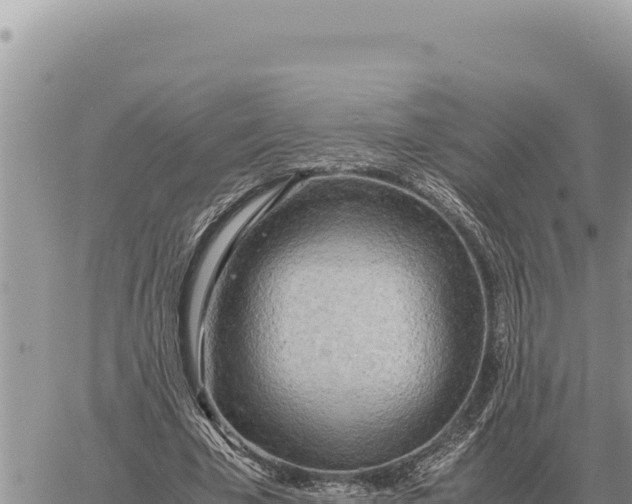 X0000061110585200512091819