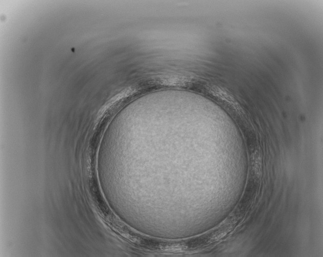 X0000061110587200512091819