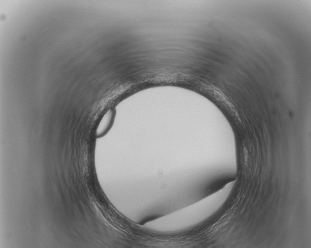 X0000061110588200512091819