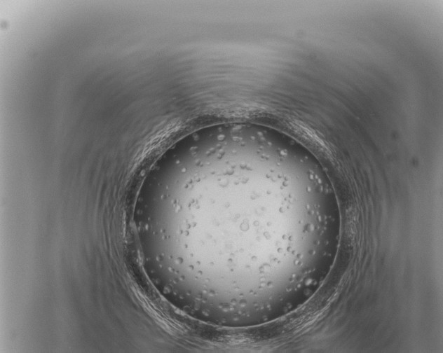 X0000061110589200512091819