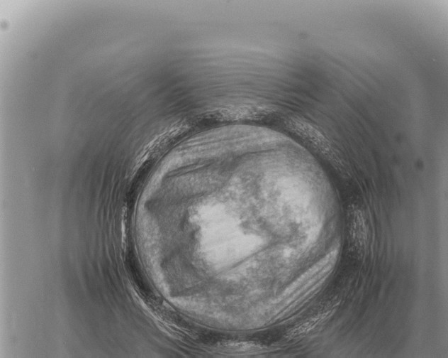 X0000061110590200512091819