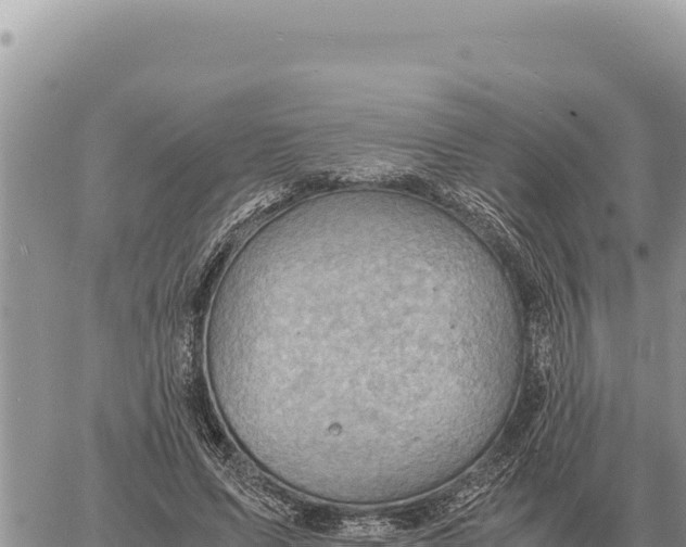 X0000061110591200512091819