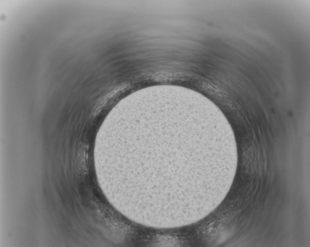 X0000061110592200512091819