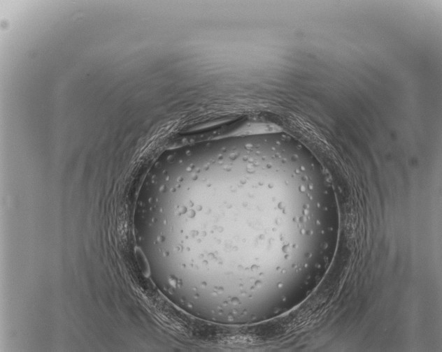 X0000061110593200512091819