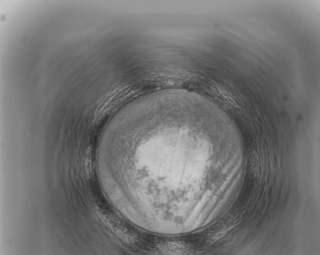 X0000061110594200512091819