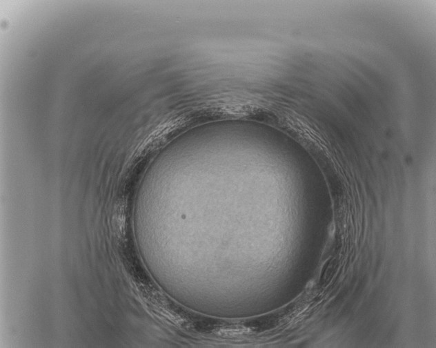 X0000061110595200512091819