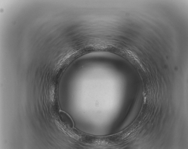 X0000061110596200512091819