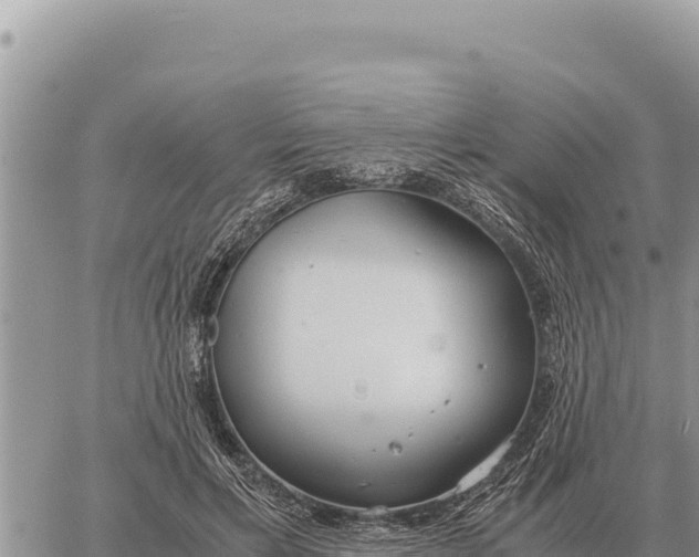 X0000061110597200512091819