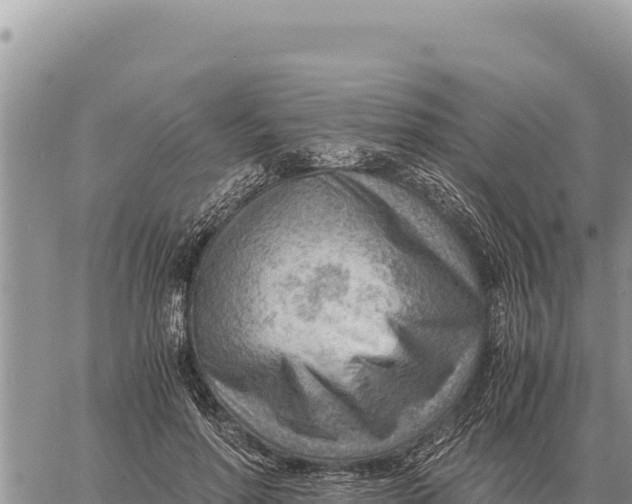 X0000061110598200512091819