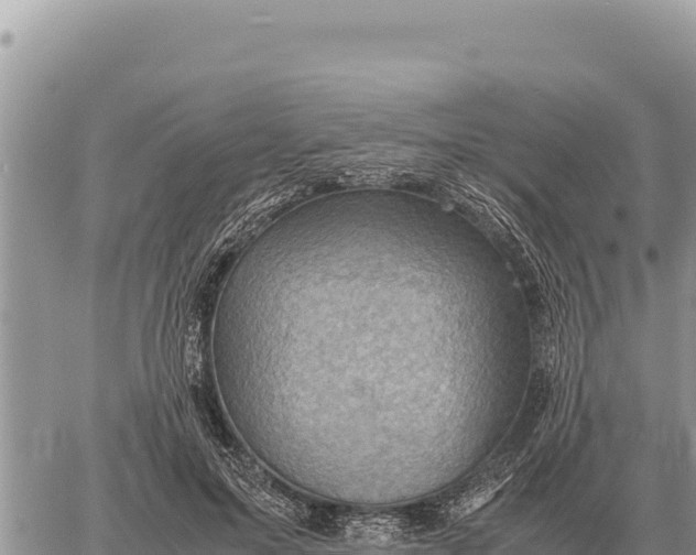 X0000061110599200512091819