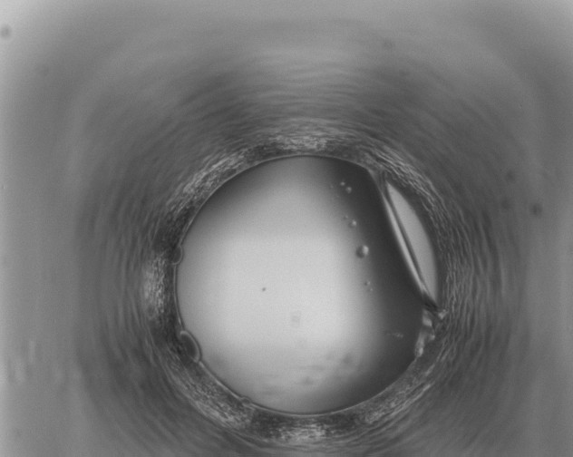 X0000061110600200512091819