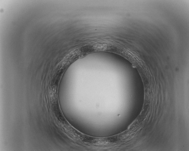 X0000061110601200512091819