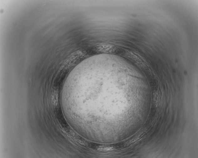 X0000061110602200512091819