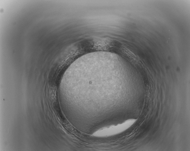 X0000061110603200512091819